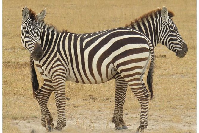 African Wildlife & Nature - 5 Kenya National Parks - 6 Day Jeep Safari - Pickup and Meeting Details