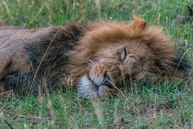 African Wildlife & Nature - 5 Kenya National Parks - 6 Day Jeep Safari - Booking Confirmation and Cancellation Policy