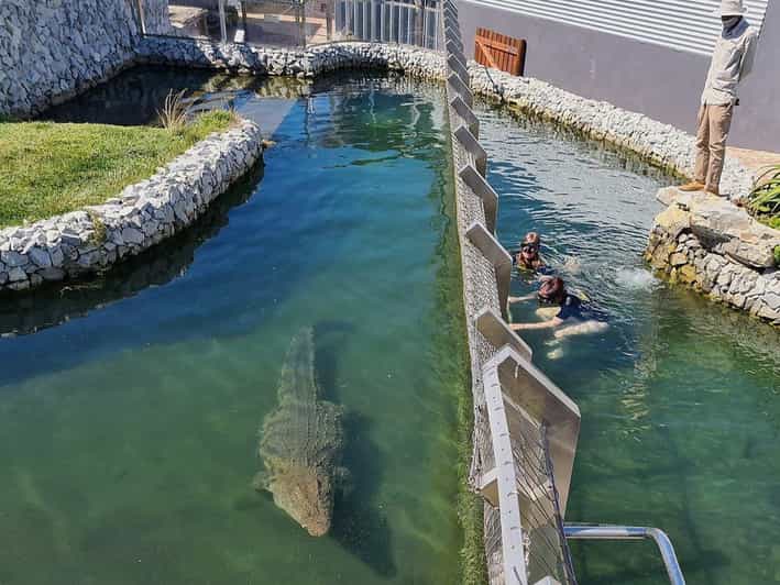 Afrikanos Restaurant and Crocodile Diving - Activity Overview