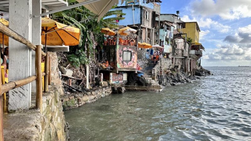Afro-Brazilian Roots Private City Tour in Salvador - Key Points