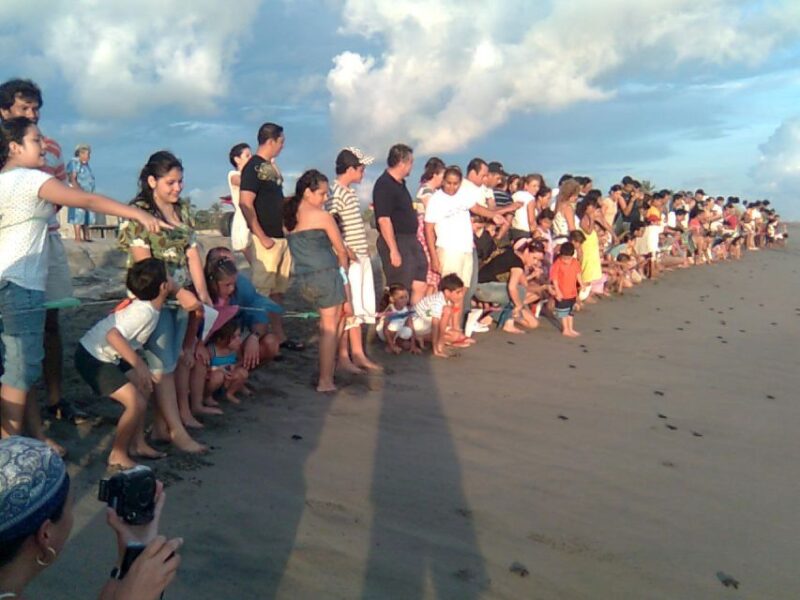 *Afro-Mex Village Horse Ride, Turtle Release Crocodile Farm - Key Points