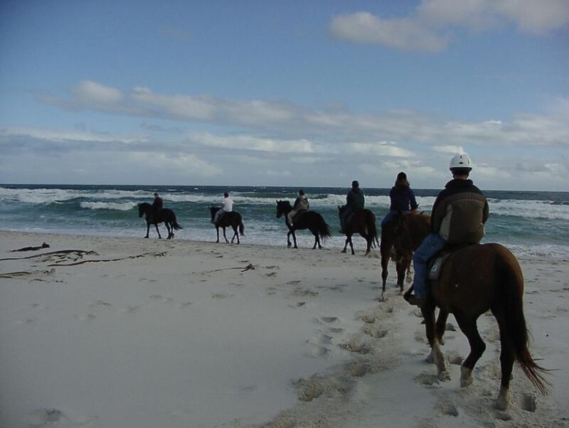 *Afro-Mex Village Horse Ride, Turtle Release Crocodile Farm - Pricing and Reservations