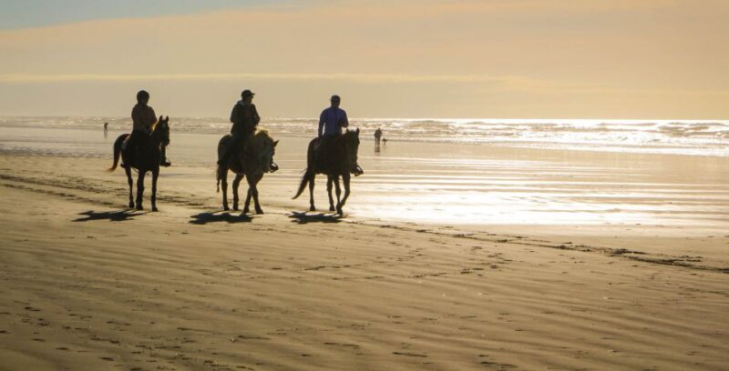 *Afro-Mex Village Horse Ride, Turtle Release Crocodile Farm - Tour Highlights