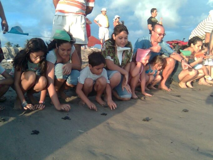 *Afro-Mex Village Horse Ride, Turtle Release Crocodile Farm - Frequently Asked Questions