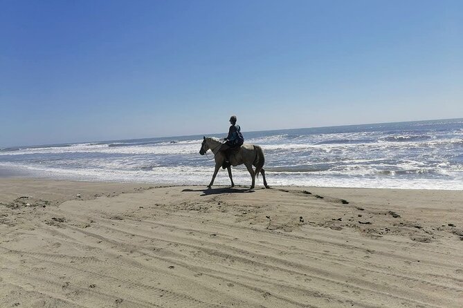 AfroMex Village Beach Horseback Baby Turtle Release & Crocs Farm - Horseback Riding Experience