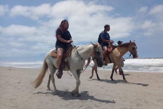 AfroMex Village Beach Horseback Baby Turtle Release & Crocs Farm - Guided Jungle Tour
