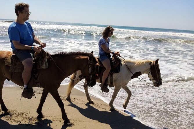 AfroMex Village Beach Horseback Baby Turtle Release & Crocs Farm - Customer Reviews Highlights
