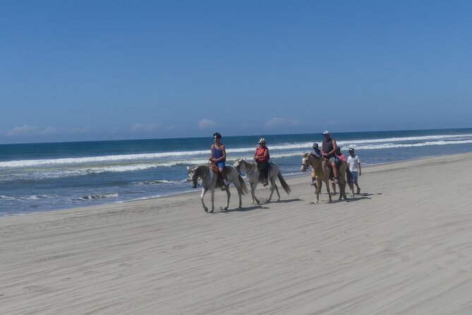 AfroMex Village Beach Horseback Ride -Crocs - Divers & City Tour - Key Points