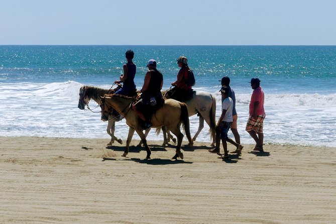 AfroMex Village Beach Horseback Ride -Crocs - Divers & City Tour - Inclusions and Amenities