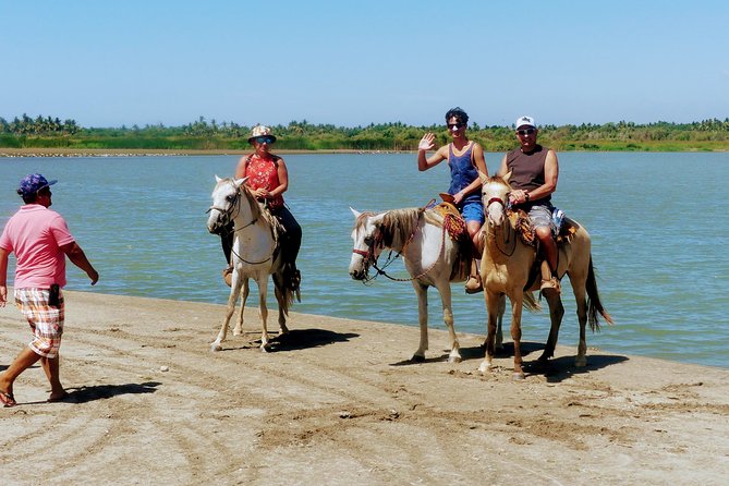 AfroMex Village Beach Horseback Ride -Crocs - Divers & City Tour - Accessibility Information