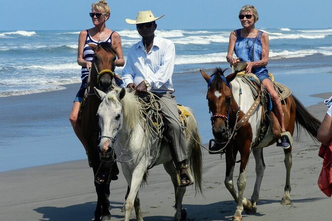 AfroMex Village Beach Horseback Ride -Crocs - Divers & City Tour - Booking Process and Tips