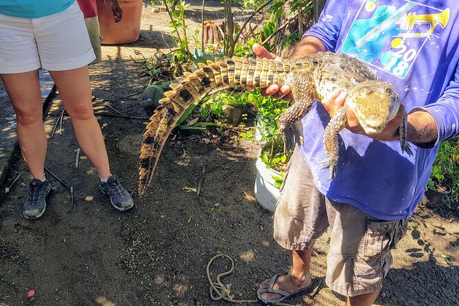 AfroMexican Village Experience-Horseback Ride-Turtle Hatch &Crocs - Key Points