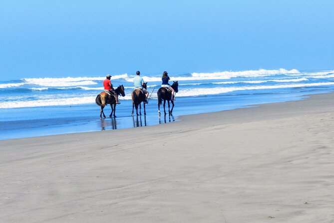 AfroMexican Village Experience-Horseback Ride-Turtle Hatch &Crocs - Pricing and Special Offers