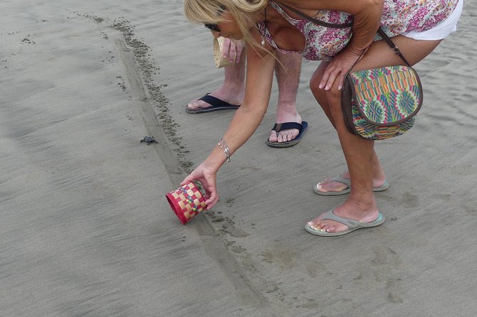 AfroMexican Village Experience-Horseback Ride-Turtle Hatch &Crocs - Cancellation Policy