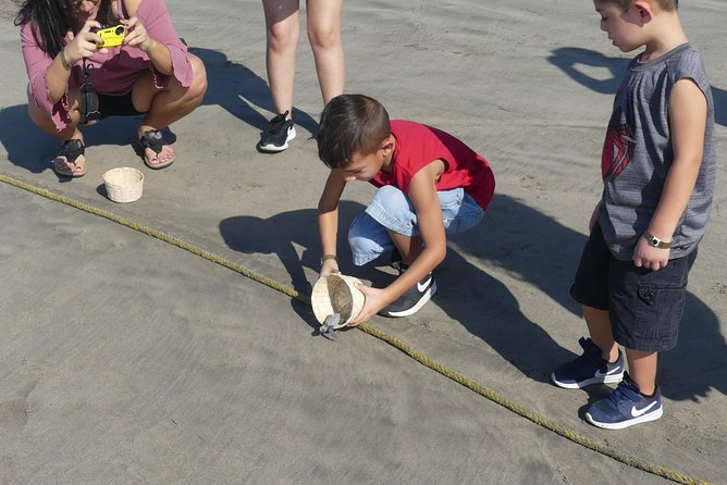 AfroMexican Village Lagoon Boat Ride Turtle Release Crocs Farm - Local Flora and Fauna Insights