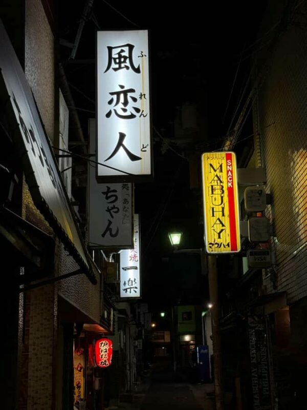 After Dark in Nara: Hidden Bars & Nightwalks with the Locals - Final Thoughts