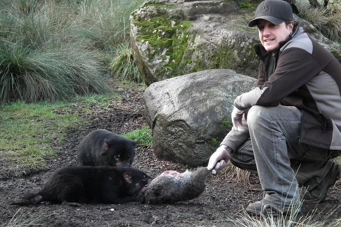 After Dark Tasmanian Devil Feeding Tour at Cradle Mountain - Inclusions and Amenities