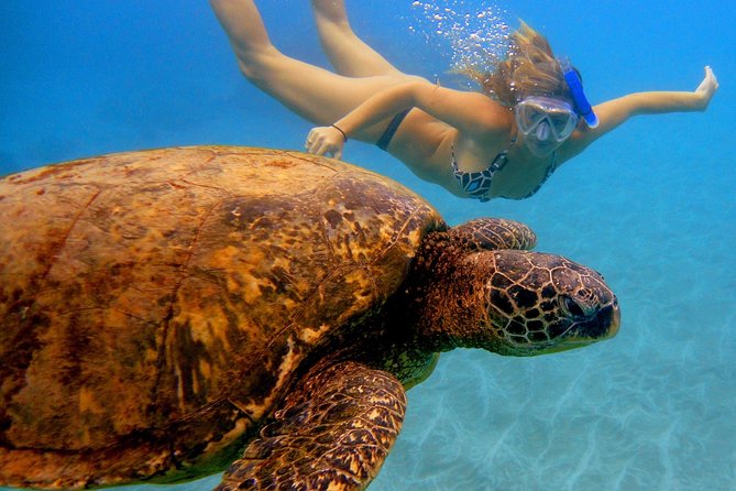 Afternoon Adventure Snorkel From Kaanapali - Meeting Information