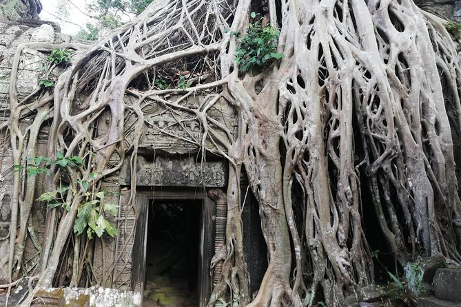 Afternoon Angkor Wat Private Tour With Sunset - Meeting and Pickup