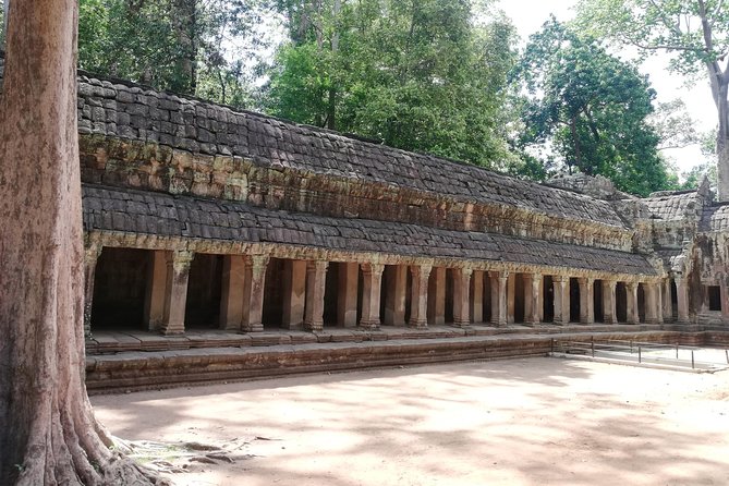 Afternoon Angkor Wat Private Tour With Sunset - Customer Reviews