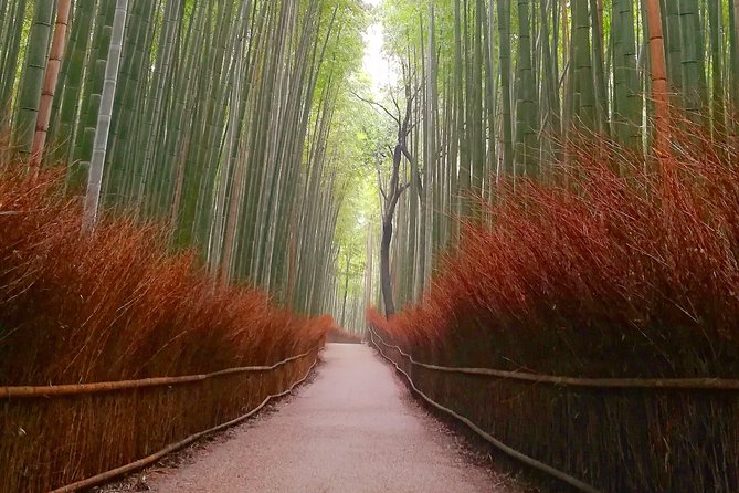 Afternoon Arashiyama Bamboo Forest & Monkey Park Bike Tour - Cancellation Policy