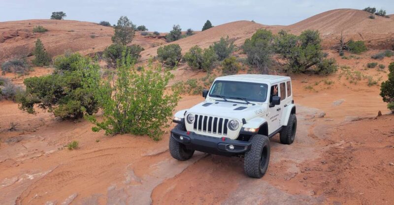 Afternoon Arches National Park 4x4 Tour - Tour Details