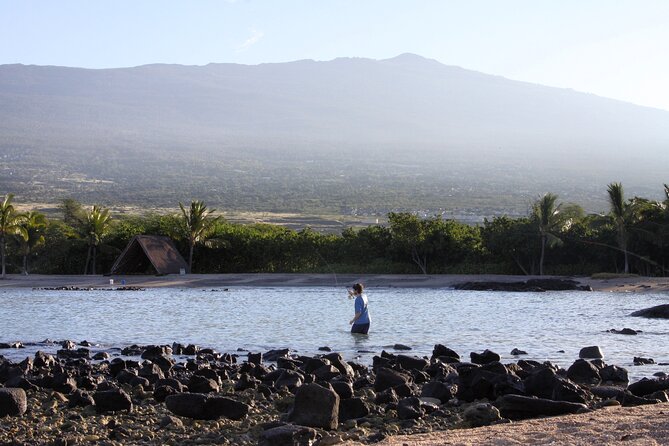 Afternoon Beach Fishing Trip in Hawaii - Accessibility and Policies
