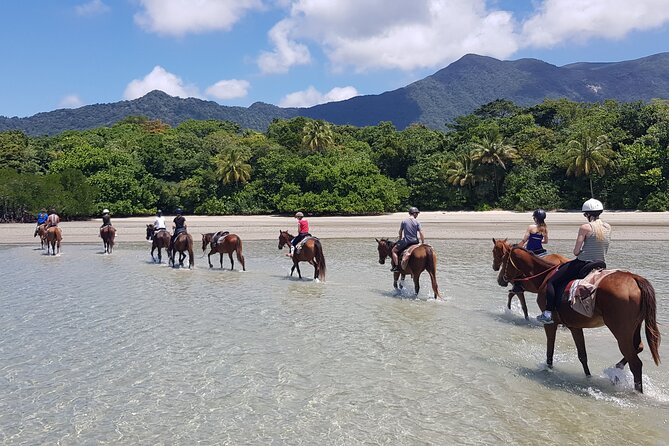 Afternoon Beach Horse Ride in Cape Tribulation - Pickup and Dropoff