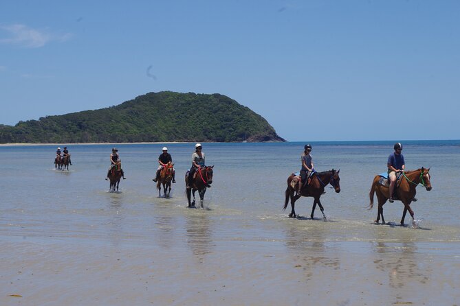Afternoon Beach Horse Ride in Cape Tribulation - Group Size and Weight Limit