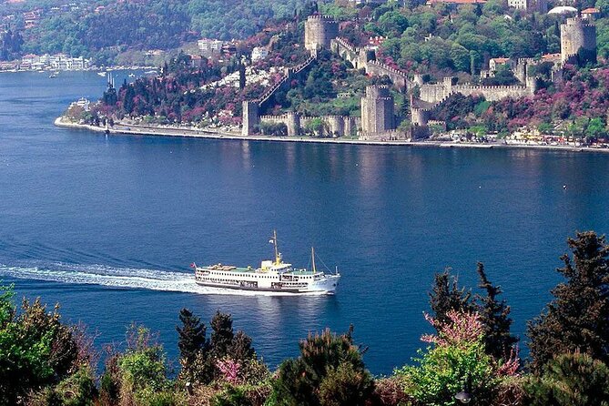 Afternoon Bosphorus Cruise Along the Shore - Tour Accessibility and Fitness
