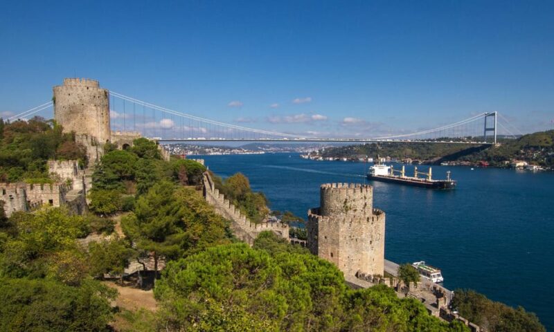 Afternoon Bosphorus Cruise With Lunch - Sights and Highlights