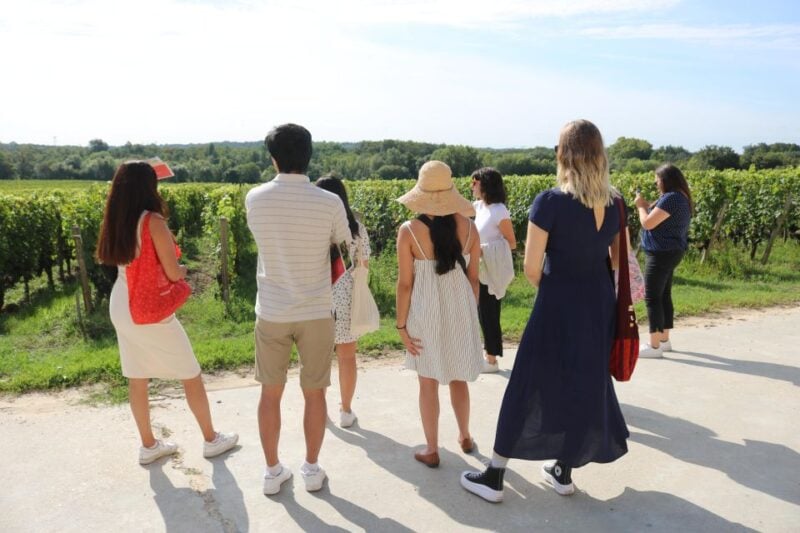 Afternoon Delight : A Wine Tour - Tour Inclusions