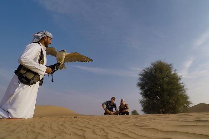 Afternoon Dubai Falconry Safari - Pickup and Traveler Information