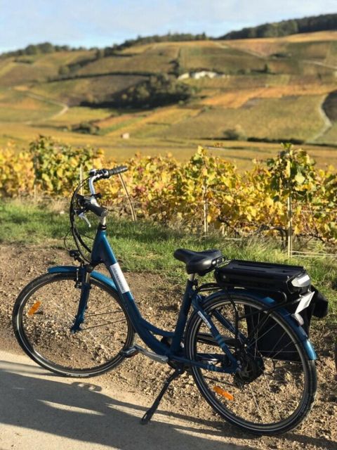 Afternoon E-Bike Champagne Tour From Reims - Itinerary Highlights