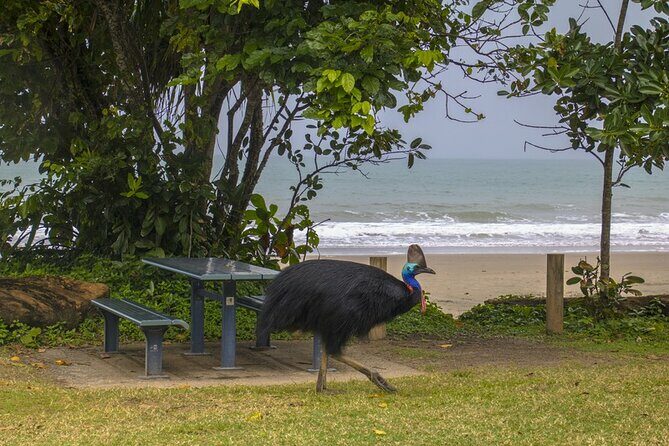 Afternoon & Evening Tour of Paronella Park - Final Thoughts