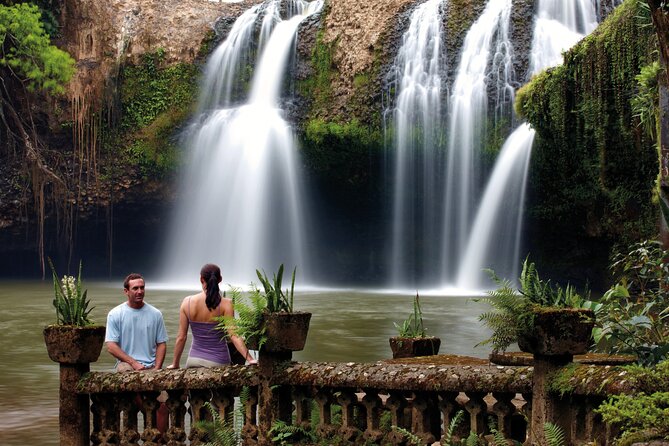 Afternoon & Evening Tour of Paronella Park - Cancellation Policy