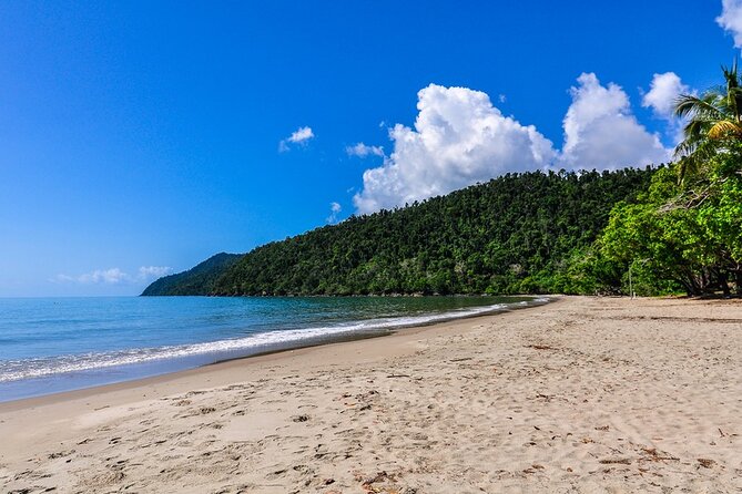 Afternoon & Evening Tour of Paronella Park - Customer Feedback