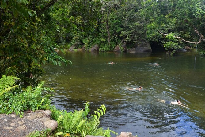 Afternoon & Evening Tour of Paronella Park - Tour Highlights