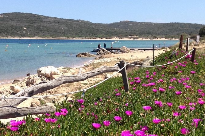 Afternoon Excursion (15:00/19:00) by Rubber Boat in the Archipelago of La Maddalena. - Snorkeling Opportunities