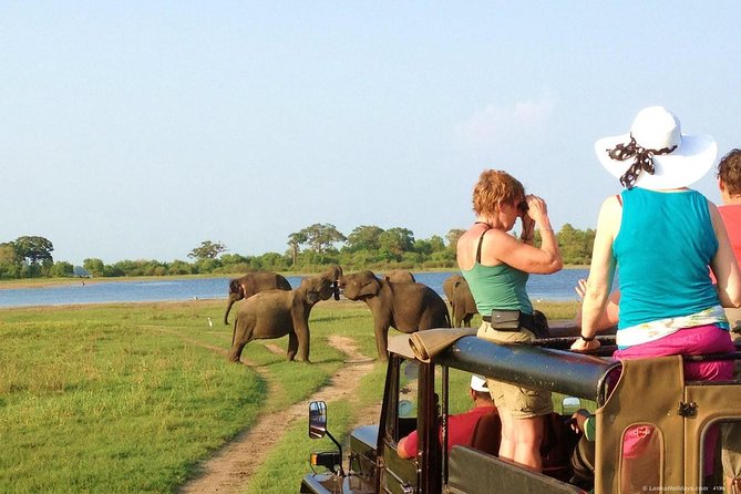Afternoon Game Drive at Minneriya National Park - Inclusions and Exclusions