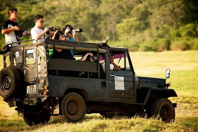 Afternoon Game Drive at Minneriya National Park - Meeting and Pickup Information