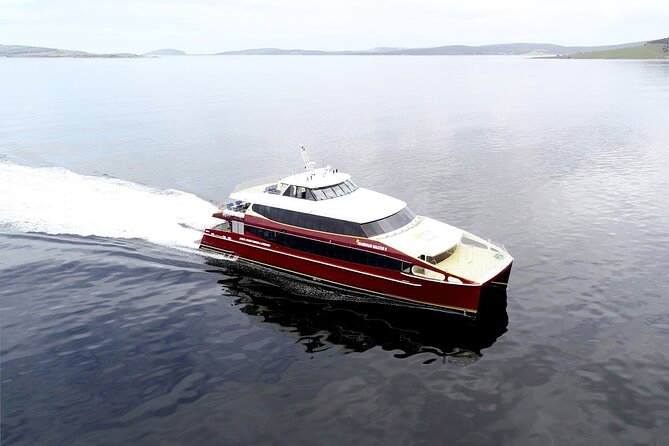 Afternoon Gordon River Dinner Cruise - Guided Tour of Sarah Island