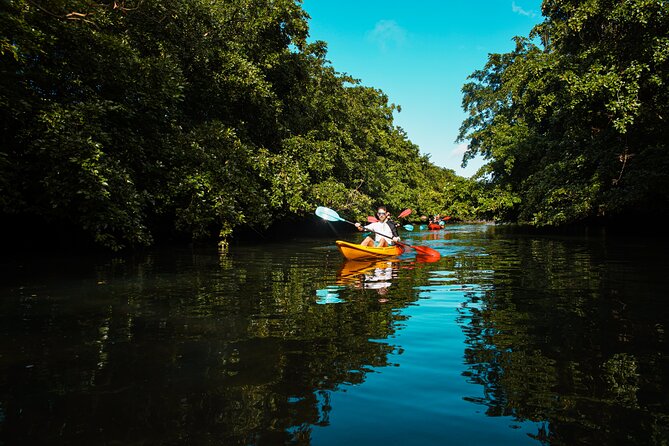 Afternoon Guided Kayak Tour on the Tamarin River - Safety Precautions