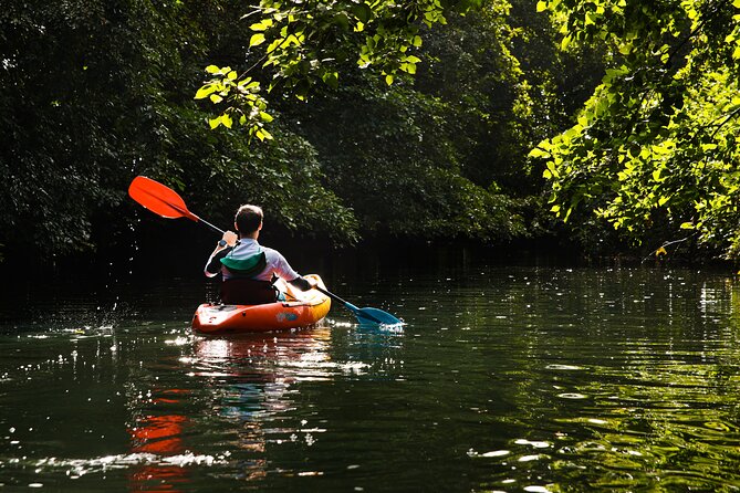 Afternoon Guided Kayak Tour on the Tamarin River - Meeting and Pickup Location
