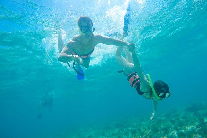 Afternoon Half-Day Catmaran Sailing and Snorkel Adventure - Customer Feedback and Recommendations