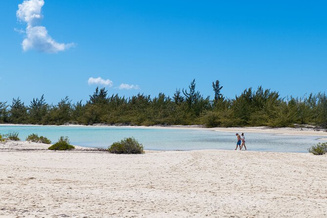 Afternoon Half Day Cruise From Providenciales With Snorkeling and Iguana Island - Customer Feedback