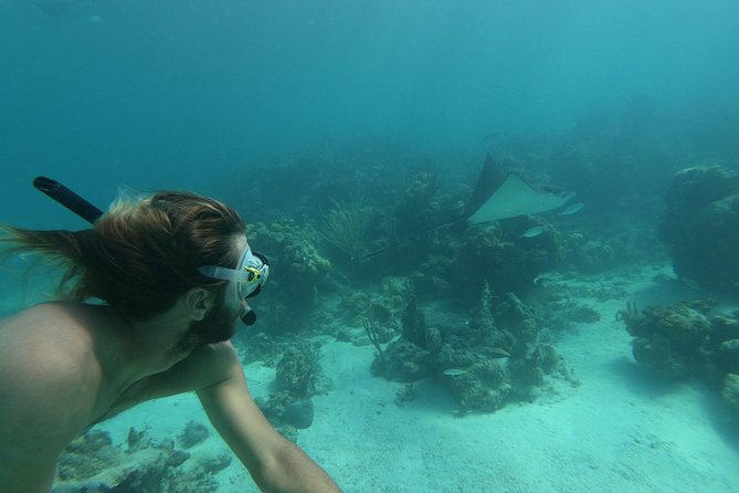 Afternoon Half Day Cruise From Providenciales With Snorkeling and Iguana Island - Departure and Start Time