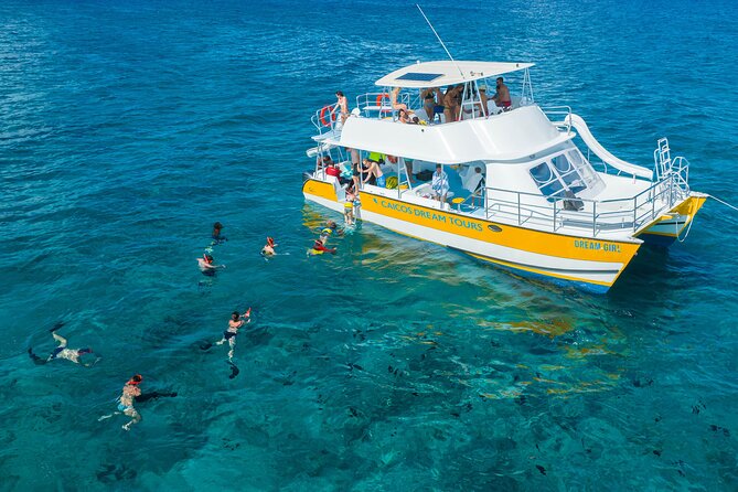 Afternoon Half Day Cruise From Providenciales With Snorkeling and Iguana Island - Activities and Experiences