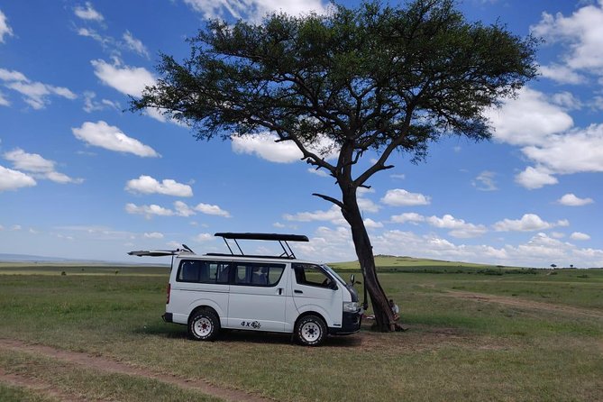 Afternoon Half Day Mini Safari to Nairobi National Park - Safari Vehicle and Amenities