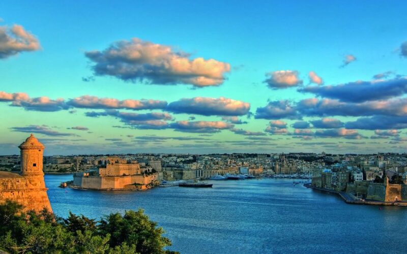 Afternoon Harbours Cruise With Guide and Roundtrip Transfers - Experience Highlights